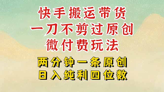 图片[1]-快手黑科技搬运带货，一刀不剪过原创，微付费投流玩法，轻松日入四位数…-阿鑫