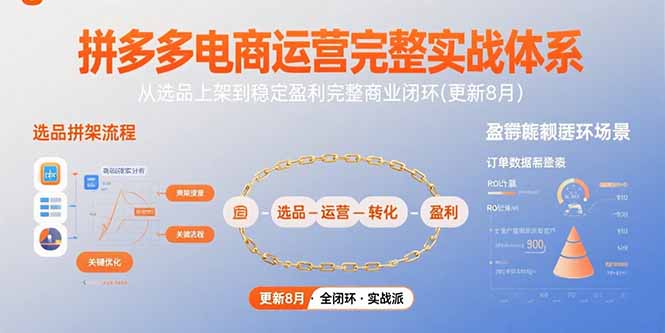 图片[1]-拼多多电商运营完整实战体系，从选品上架到稳定盈利完整商业闭环(更新8月-阿鑫