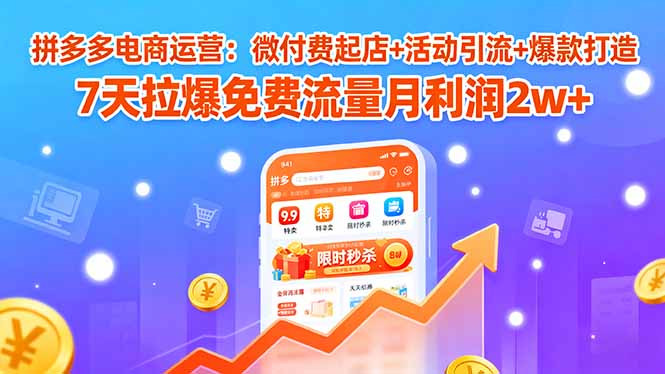 图片[1]-拼多多电商运营：微付费起店+活动引流+爆款打造 7天拉爆免费流量月利润2w+-阿鑫