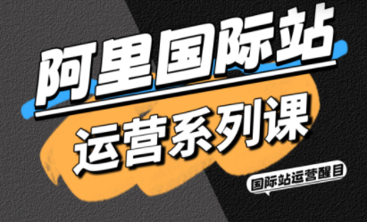 图片[1]-醒目老师·阿里国际站运营系列课(更新11月)-阿鑫