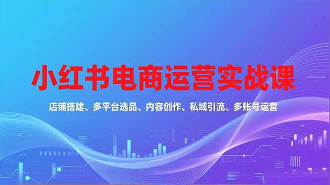 小红书电商运营实战课，店铺搭建、多平台选品、内容创作、私域引流、多账号运营等玩法-阿鑫