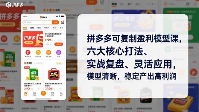 图片[1]-拼多多可复制盈利模型课，六大核心打法、实战复盘、灵活应用，模型清晰，稳定产出高利润-阿鑫