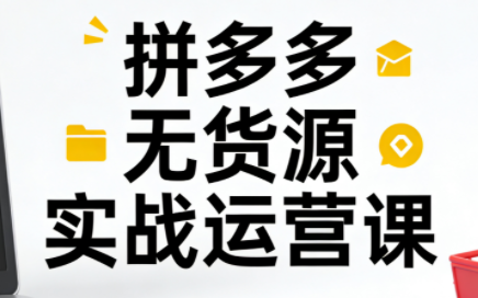 图片[1]-子枫老师·拼多多无货源实战运营课(更新12月)-阿鑫