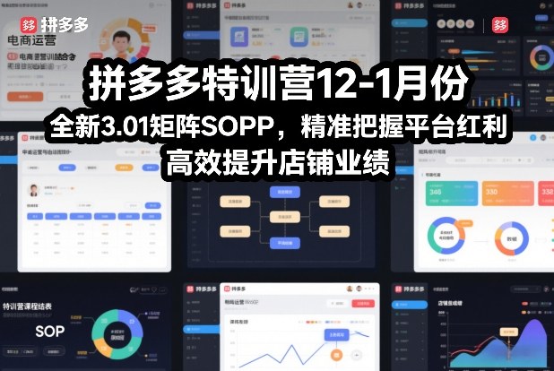 拼多多特训营12-1月份，全新3.01矩阵Sop，精准把握平台红利，高效提升店铺业绩-阿鑫