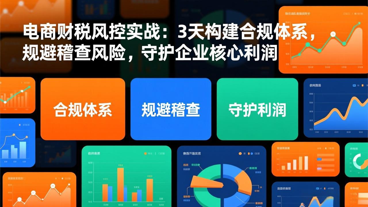 图片[1]-电商财税风控实战：3天构建合规体系，规避稽查风险，守护企业核心利润-阿鑫