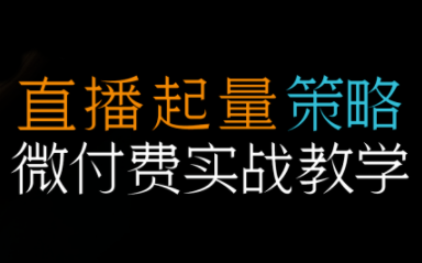 图片[1]-半野老师·直播带货起量与微付费必学课视频号(更新2026)-阿鑫