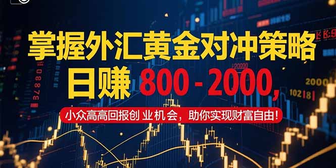 图片[1]-掌握外汇黄金对冲策略，日赚 800 – 2000，小众高回报创业机会，助你实…-阿鑫