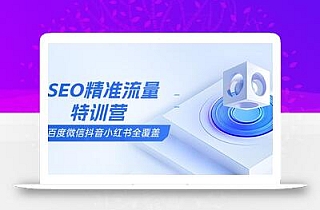 SEO精准流量特训营,百度微信抖音小红书全覆盖,带你搞懂搜索优化核心技巧