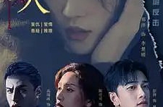 悬崖下的女人(84集)