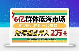 6亿群体蓝海市场,零经验小白用一台电脑,如何轻松月入过w【揭秘】