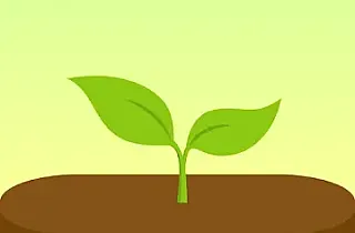 Forest森林 v4.84.0 高级版