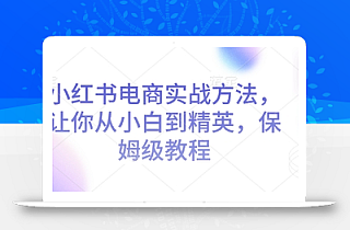 小红书电商实战方法,让你从小白到精英,保姆级教程