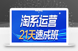 淘系运营21天速成班35期,年前最后一波和2025方向