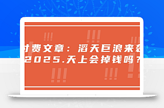 付费文章:滔天巨浪来袭!2025天上会掉钱吗?