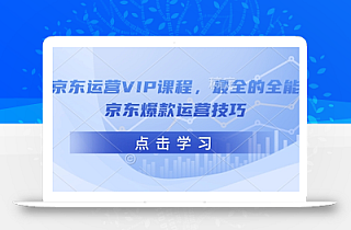 京东运营VIP课程,最全的全能京东爆款运营技巧