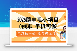 2025薅羊毛小项目,0成本 手机可做,几秒钟一单,收益无上限