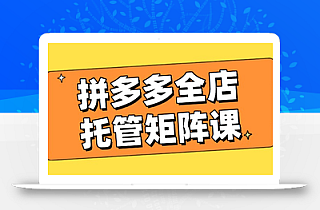 拼多多全店托管矩阵课,盈利动销玩法,高效计划设置,提升店铺效益