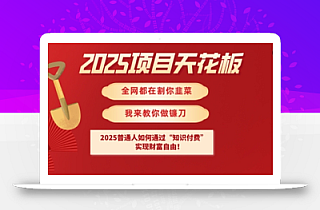 2025项目天花板普通人如何通过知识付费,实现财F自由【揭秘】