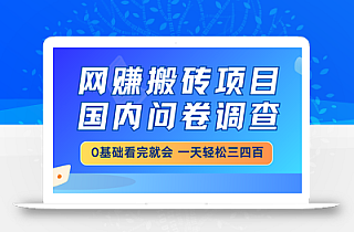 网赚搬砖项目,国内问卷调查,0基础看完就会 一天轻松三四百,靠谱副业…