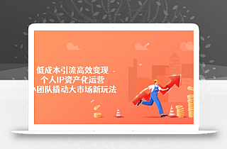 低成本引流高效变现,个人IP资产化运营,小团队撬动大市场新玩法