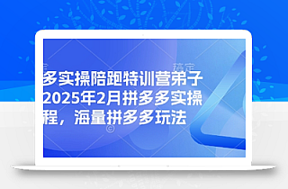 拼多多实操陪跑特训营弟子班,2025年2月拼多多实操课程,海量拼多多玩法