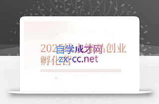 舒老师·珠宝创业实战指南
