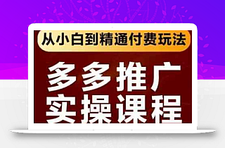 拼多多推广实操课程,从小白到精通付费玩法
