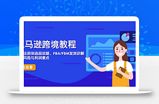 亚马逊跨境教程,店铺注册到选品攻略,FBA/FBM发货讲解,把握风险与利润