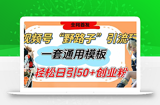 视频号“野路子”玩法,评论区疯狂截流,一套模板单日单号引流50+创业粉
