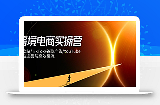 跨境电商实操营:独立站/TikTok/谷歌广告/YouTube,精准选品与高效引流
