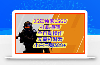 25年独家CSGO挂G搬砖,全自动操作,无需打游戏,小白日入3张+【揭秘】