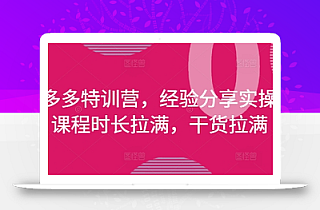 拼多多特训营,经验分享实操,课程时长拉满,干货拉满(更新25年4月)