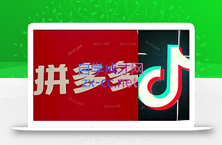 老陶电商·拼多多+抖音小店无货源开店(更新5月)
