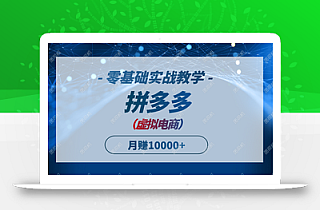 拼多多虚拟电商,零基础实战教学,快速打爆商品,新手也能月入10000+