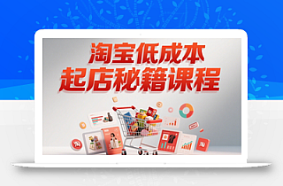 子枫老师·淘宝低成本起店系统课