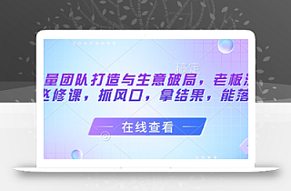 流量团队打造与生意破局,老板流量必修课,抓风口,拿结果,能落地