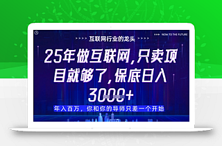 什么!25年你还在找项目做?风口早就变了,卖项目才是稳挣不赔【揭秘】
