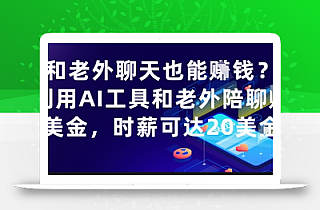 和老外聊天也能挣钱?利用AI工具和老外陪聊挣美金,时薪可达20刀