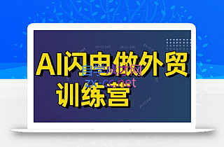 大卫·AI闪电做外贸训练营(更新5月)