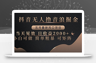 抖音无人撸音浪掘金,五月最新风口项目,当天见效,日收益多张,小白可做简单粗暴可矩阵【揭秘】