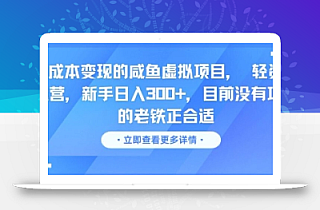 零成本变现的咸鱼虚拟项目, 轻资产运营,新手日入3张+,目前没有项目的老铁正合适