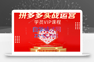 推易电商·拼多多实战运营课(更新2025月)