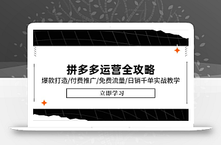 拼多多运营全攻略,爆款打造/付费推广/免费流量/日销千单实战教学/6月更新