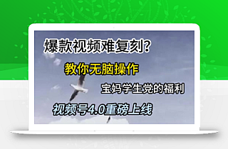 视频号4.0重磅上线,爆款视频难复刻?教你无脑操作宝妈学生党的福利【揭秘】
