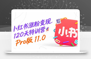 小红书涨粉变现120天特训营Pro版11.0:从0到1掌握平台运营,内容制作和变现
