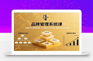 品牌管理系统课:战略定位与消费者洞察,DTC案例、资产评估,增长与公关体系搭建