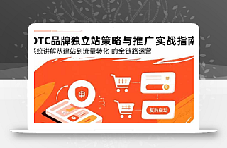 DTC品牌独立站策略与推广实战指南,系统讲解从建站到流量转化的全链路运营