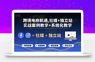跨境电商新机遇,社媒+独立站,实战案例教学+系统化教学