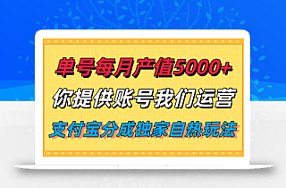 单月产值5000+,支付宝分成代运营,你提供账号坐等分钱,我们帮你运营