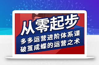 海神·拼多多运营进阶系统课(更新8月)